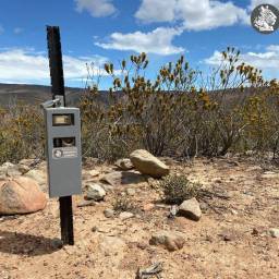 A camera trap in the field